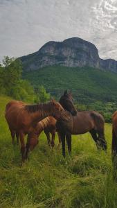Suite au pied de la montagne et vue imprenable