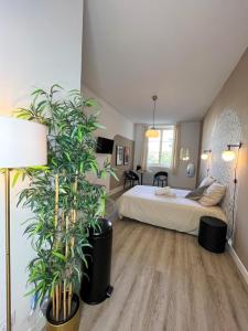 Suite Bagkammon Place Carnot