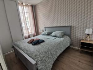 Suite Chanzy aux pieds de la cathédrale