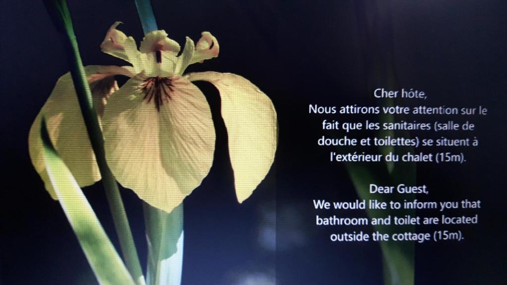 Suite & Jacuzzi 69700 Givors