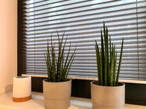 Suiteable Living - #3 Klaus der Kleine