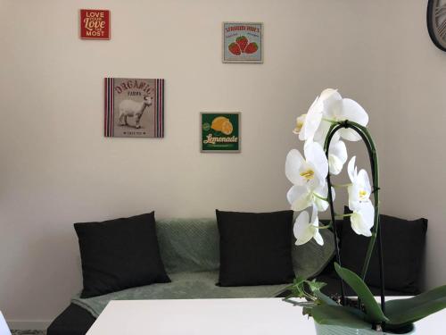 Suites Rive Gauche - FORÊT FONTAINEBLEAU - Chez Samantha