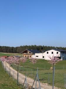 Sun Star Chalet Holzblockhaus auf der Alpakaweide