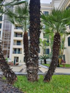 Suncoast Residence V (Free parking)
