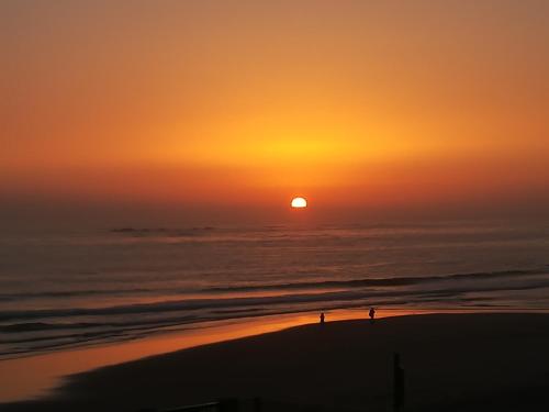 SUNKISSED OFIR HOUSE