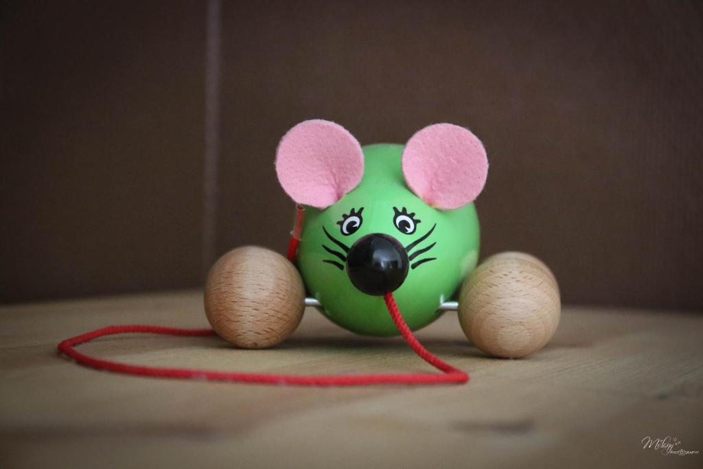 Sünnenkringel 68 Appartement 1 18374 Zingst