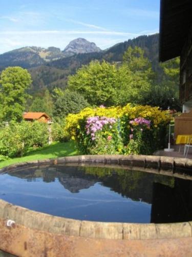 Sunnleitn - Vogelsang