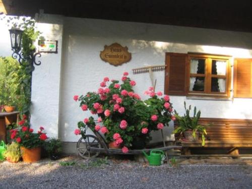 Sunnleitn - Vogelsang