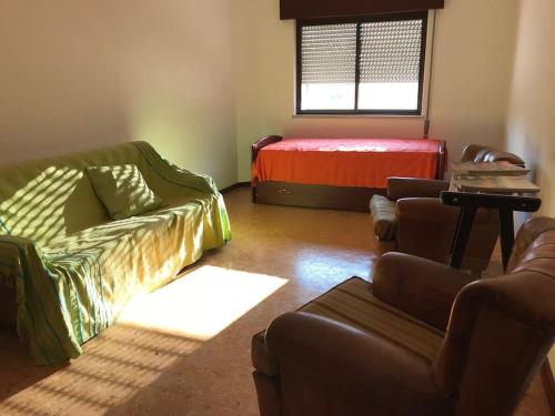Sunny and cosy apt near the river and main avenue