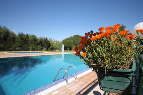 Sunny and Cozy Apartment, Lago Azul by Trip2Portugal