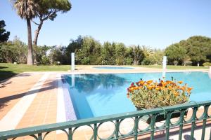 Sunny and Cozy Apartment, Lago Azul by Trip2Portugal
