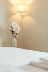 Sunny House - Bright 2 bedroom apartment w/ office