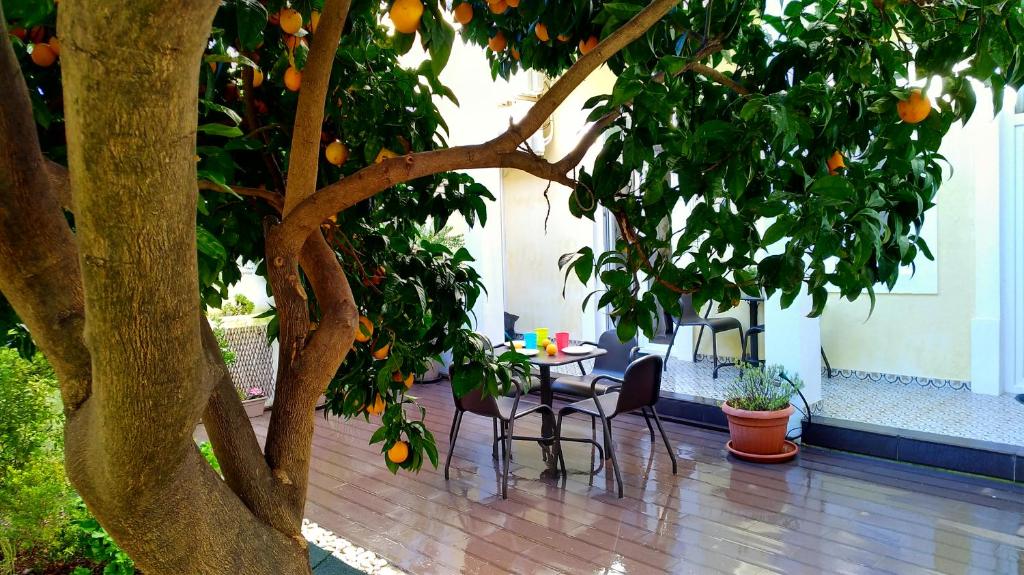 Appartement Sunny orange garden apartment in central Lisbon 27 Rua Cidade de Cardiff S/Cv 1170-094 Lisbonne