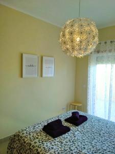 Sunshine Apartment