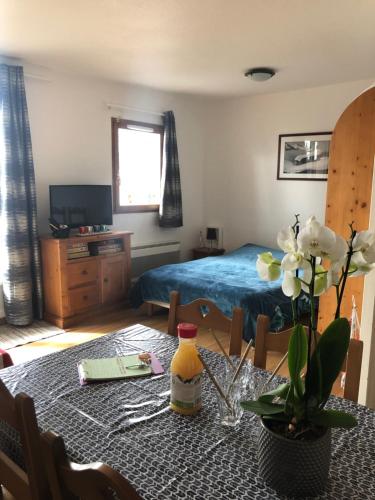 SUPER BESSE Appartement LE GÎTE BESSARD 6 couchages Le Bois de la Reine