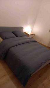 Appartement Super T3 Cosy à 2 pas de Tram Station 21 Rue du parc 74100 Annemasse Rhône-Alpes