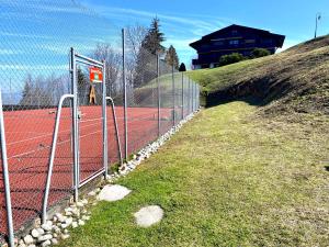 Superb apartment with 4 rooms in Mont d'Arbois