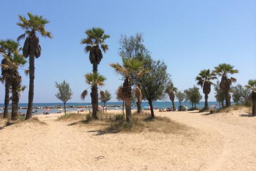 Superb Apartment With Balcony Near The Beach