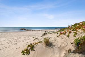Superb one bedroom flat with terrasse close to the beach - Carnon - Welkeys