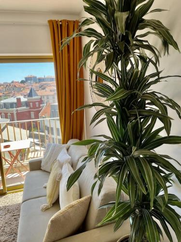 Superb top floor studio, Biarritz center.