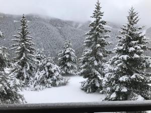 Superbe 2 pcs cabine terrasse vue féérique pistes et montagnes
