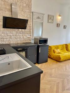 Superbe 40 m2 tout confort au cœur de Dijon