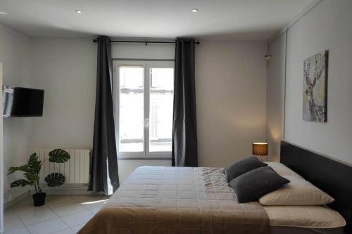 Superbe Appart Avignon-4pers-Wifi-Hyper Centre