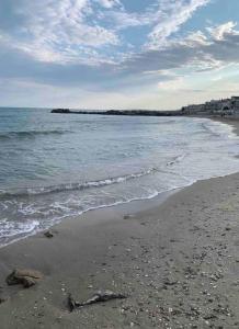 Superbe appartement à 2 pas de la plage