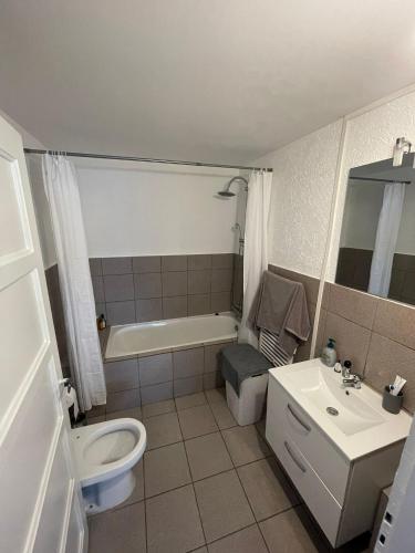 Superbe appartement au centre