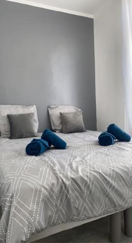 Superbe appartement au centre ville d’Auxerre