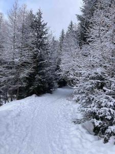 Superbe appartement au pied des pistes