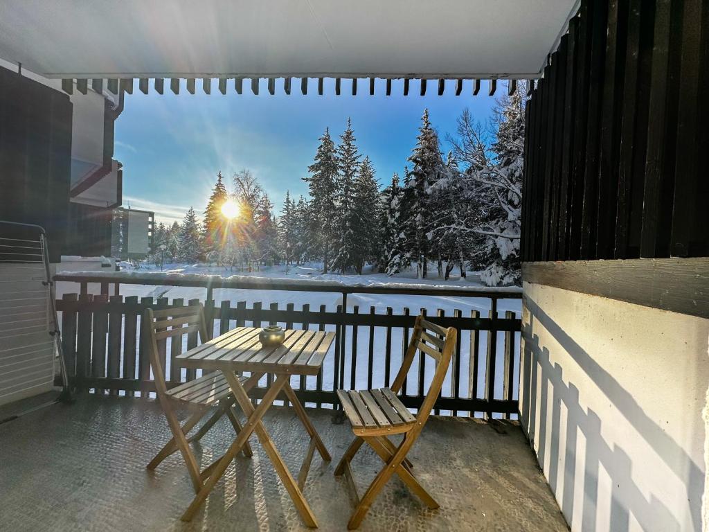 Superbe appartement aux pieds des pistes - parking Résidence le Concorde, bâtiment 6 1 Route du Rozé, 05240 La Salle-Les-Alpes