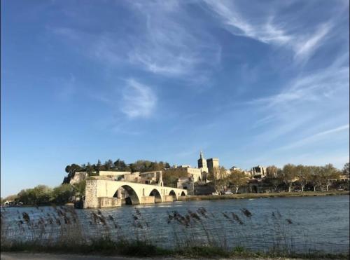 Superbe appartement aux pieds du palais des papes