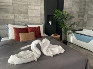 Superbe appartement avec balnéo.