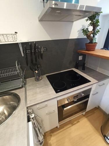 superbe appartement avec terrasse