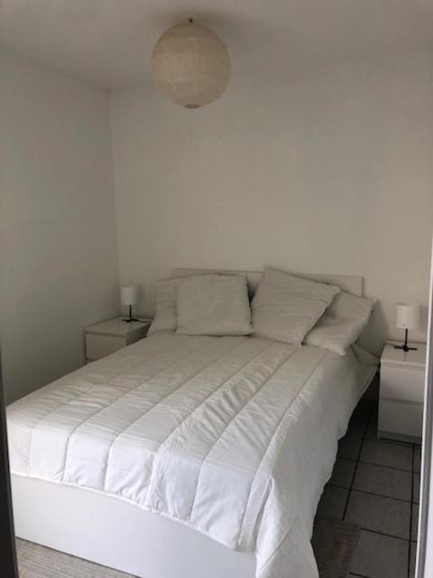 Superbe appartement centre-ville parking gratuit 3 Rue Velouterie, 84000 Avignon