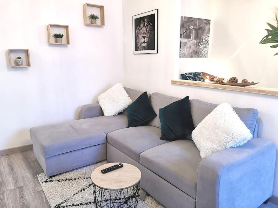 Superbe appartement centre ville proche des pistes 21 Rue du Docteur Regad, 39400 Morez