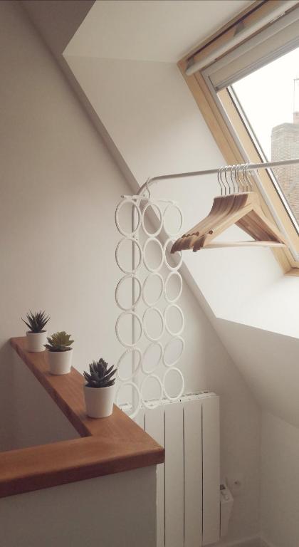 Superbe appartement cosy, proche port et plage