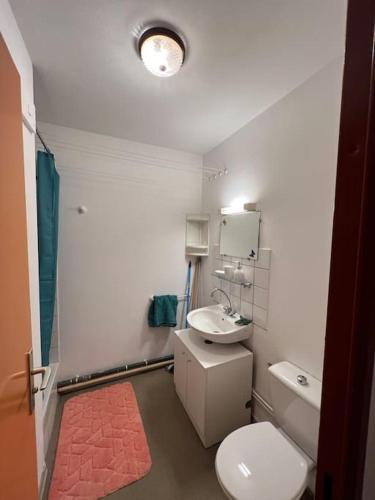 Superbe appartement cosy sur mulhouse centre