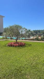 Appartement Superbe appartement dans résidence avec piscine 55 Avenue de Cannes 06600 Antibes Provence-Alpes-Côte d\'Azur