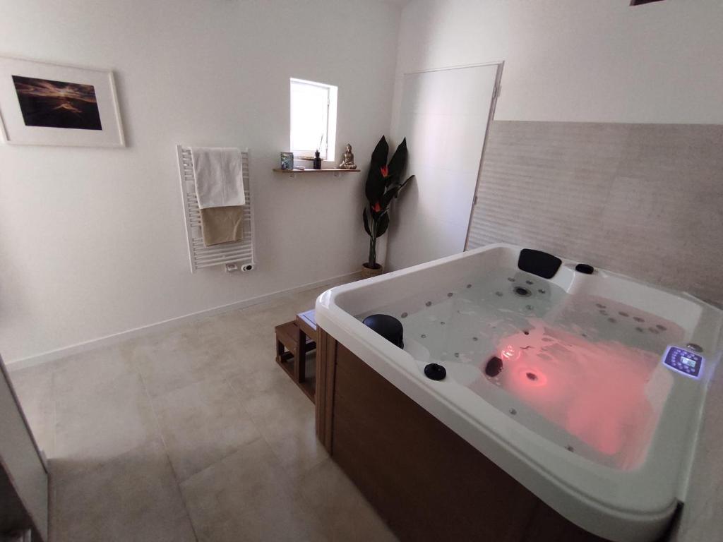 Superbe appartement dans villa avec Jardin 12100 Millau