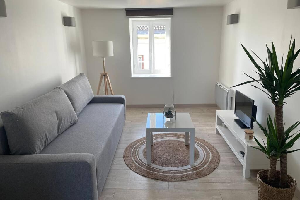 Superbe Appartement duplex centre ville 52 Rue Docteur Thomas, 51100 Reims