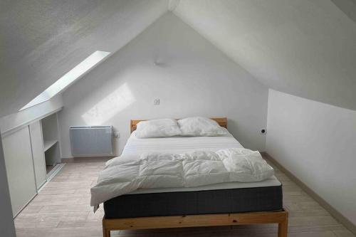 Superbe Appartement duplex centre ville