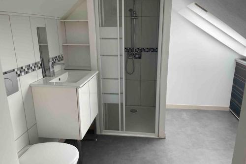 Superbe Appartement duplex centre ville