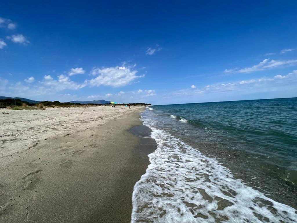 Appartement Superbe appartement en résidence avec piscine proche plage Résidence les hauts du maquis suale majo 20230 Linguizzetta