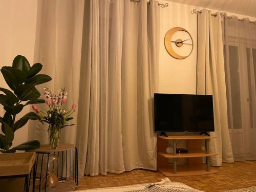 Superbe appartement situé en plein centre ville