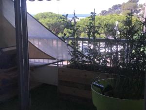 Superbe appartement vue mer, 50 mètres plages.