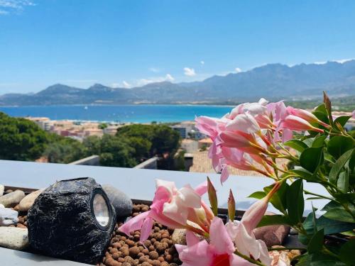 Superbe appartement vue mer et citadelle Calvi