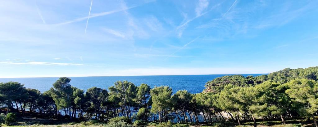 Appartement SUPERBE APPARTEMENT VUE MER - PLAGE, PISCINE et TENNIS PRIVE 217 Chemin de la Douane 83150 Bandol