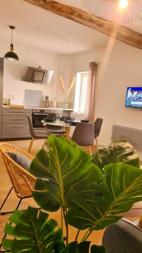 Superbe Apt T2 en centre-ville